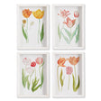 Napa  TULIP PRINTS, SET OF 4