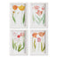Napa  TULIP PRINTS, SET OF 4