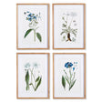 Napa Includes mat MOUNTAIN BOTANICAL PRINTS, SET OF 4