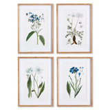 Napa Includes mat MOUNTAIN BOTANICAL PRINTS, SET OF 4