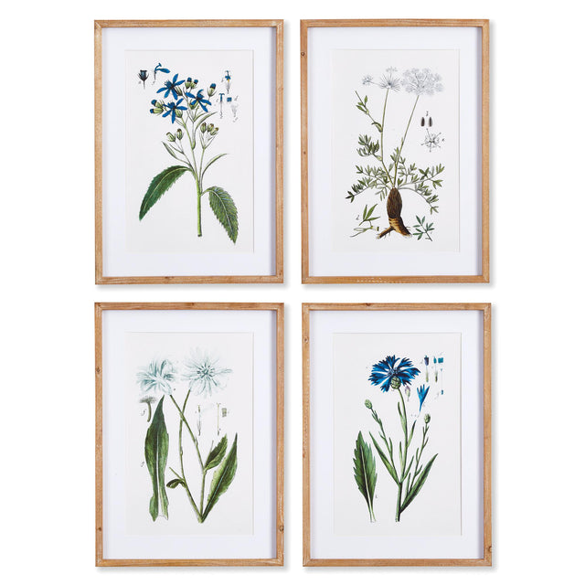 Napa Includes mat MOUNTAIN BOTANICAL PRINTS, SET OF 4