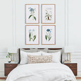 Napa Includes mat MOUNTAIN BOTANICAL PRINTS, SET OF 4
