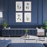 Napa Includes mat MOUNTAIN BOTANICAL PRINTS, SET OF 4