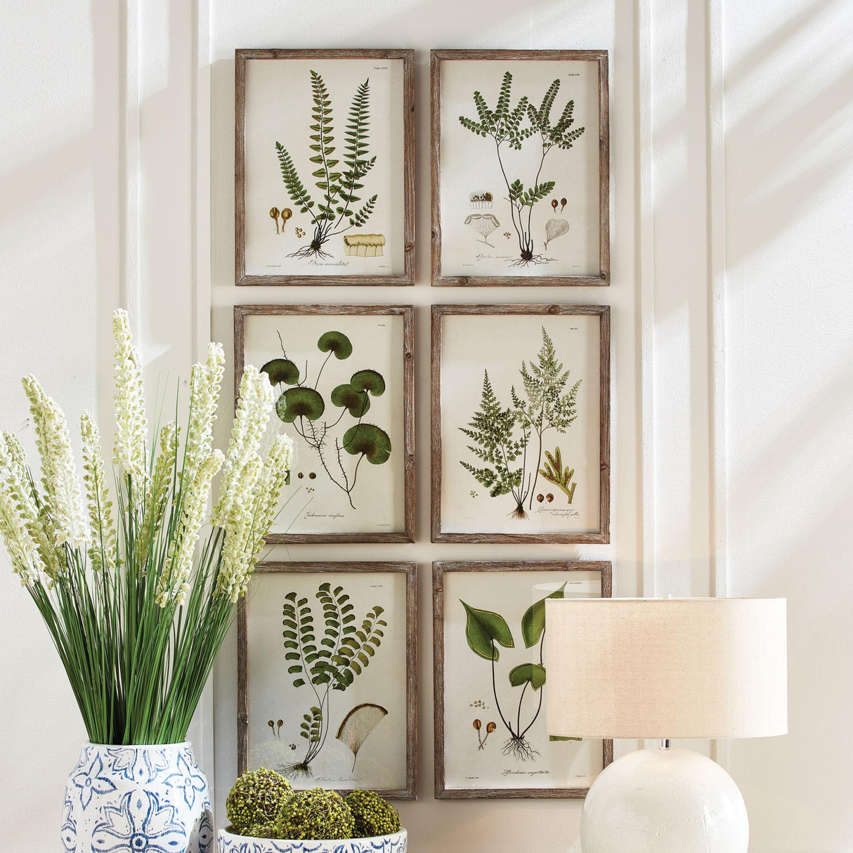 Napa  SHADE GARDEN STUDY, SET OF 6