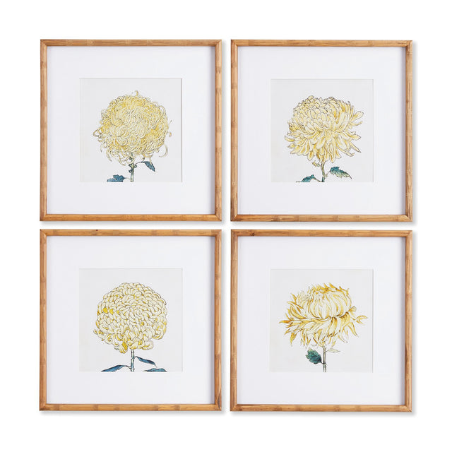 Napa Includes mat CHRYSANTHEMUM PRINTS, SET OF 4