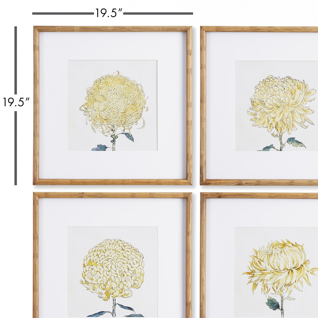Napa Includes mat CHRYSANTHEMUM PRINTS, SET OF 4