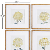 Napa Includes mat CHRYSANTHEMUM PRINTS, SET OF 4