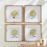 Napa Includes mat CHRYSANTHEMUM PRINTS, SET OF 4