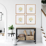 Napa Includes mat CHRYSANTHEMUM PRINTS, SET OF 4