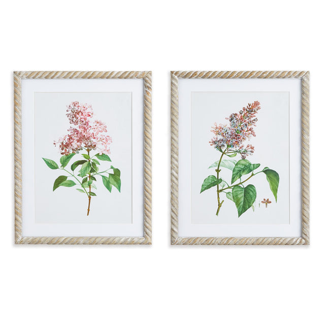 Napa Includes mat LILAC CUTTING PRINTS, SET OF 2