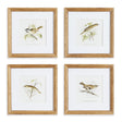 Napa Includes mat PERCHING BIRD STUDY PETITE, SET OF 4