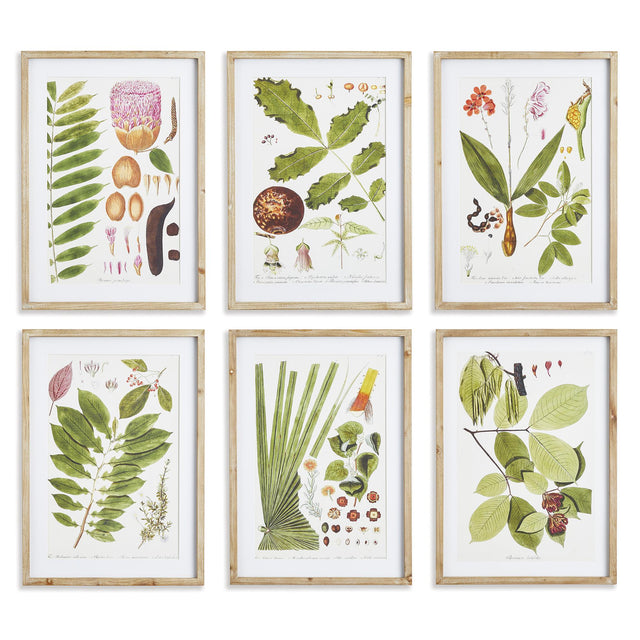 Napa Includes mat LEAF BOTANICAL STUDY, SET OF 6