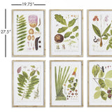 Napa Includes mat LEAF BOTANICAL STUDY, SET OF 6