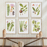 Napa Includes mat LEAF BOTANICAL STUDY, SET OF 6