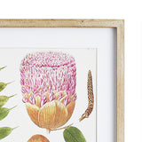 Napa Includes mat LEAF BOTANICAL STUDY, SET OF 6