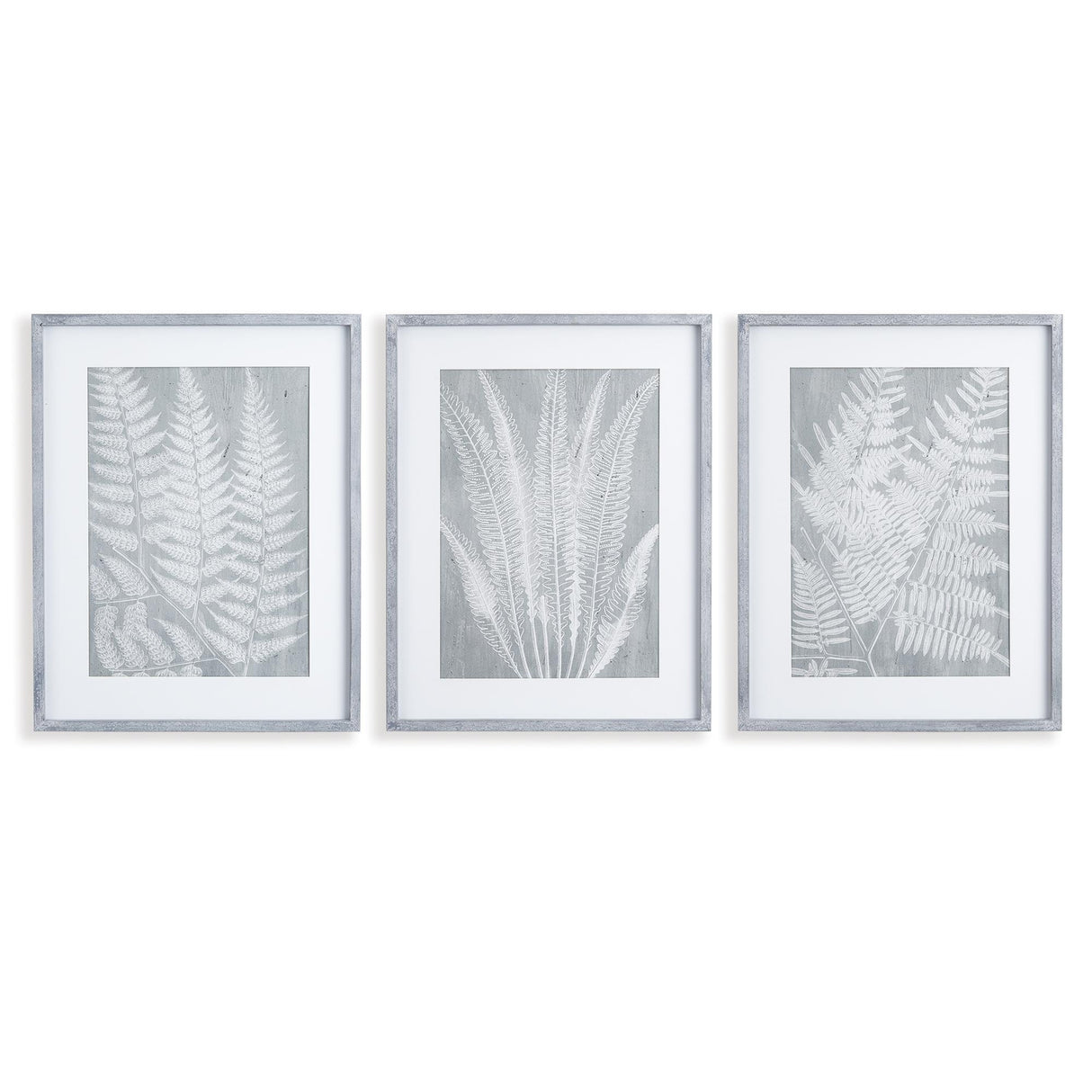 Napa Includes mat FERN FROND PRINTS, SET OF 3