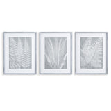 Napa Includes mat FERN FROND PRINTS, SET OF 3
