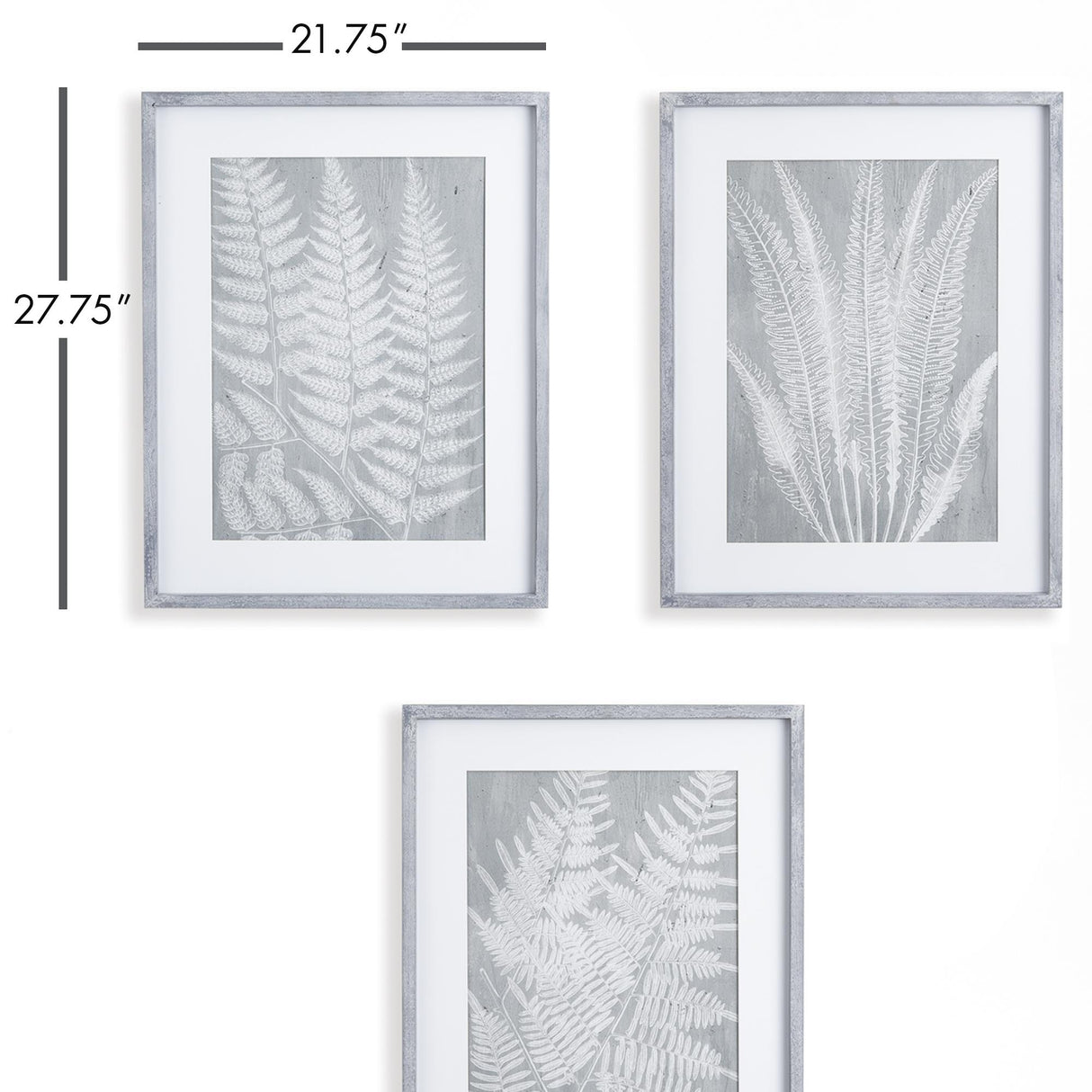 Napa Includes mat FERN FROND PRINTS, SET OF 3