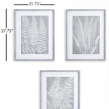 Napa Includes mat FERN FROND PRINTS, SET OF 3