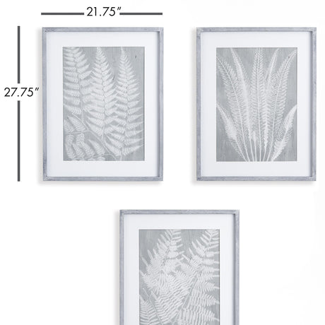 Napa Includes mat FERN FROND PRINTS, SET OF 3