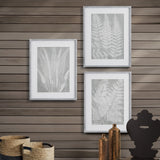 Napa Includes mat FERN FROND PRINTS, SET OF 3