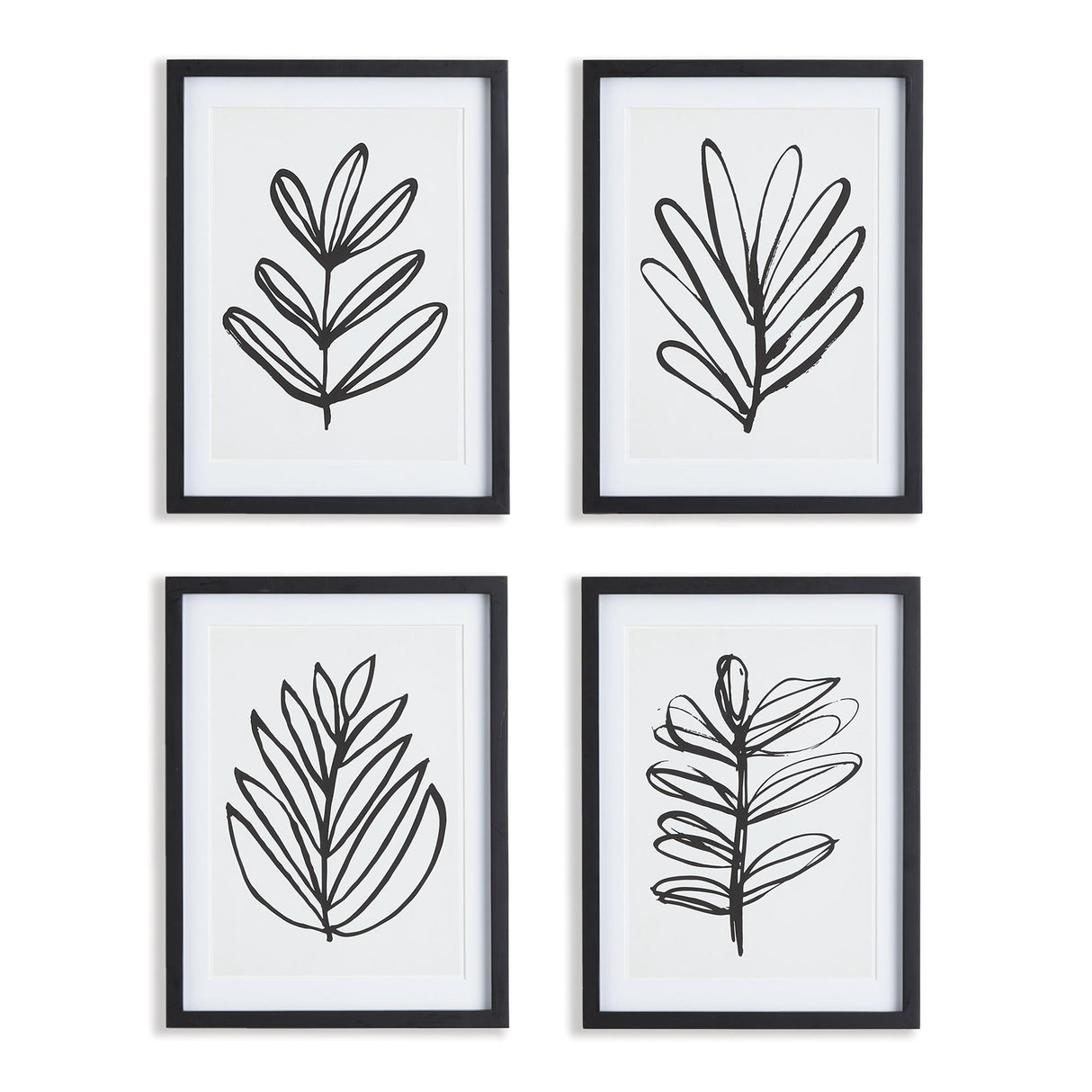 Napa Includes mat SKETCHED LEAF PRINTS, SET OF 4
