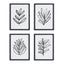 Napa Includes mat SKETCHED LEAF PRINTS, SET OF 4