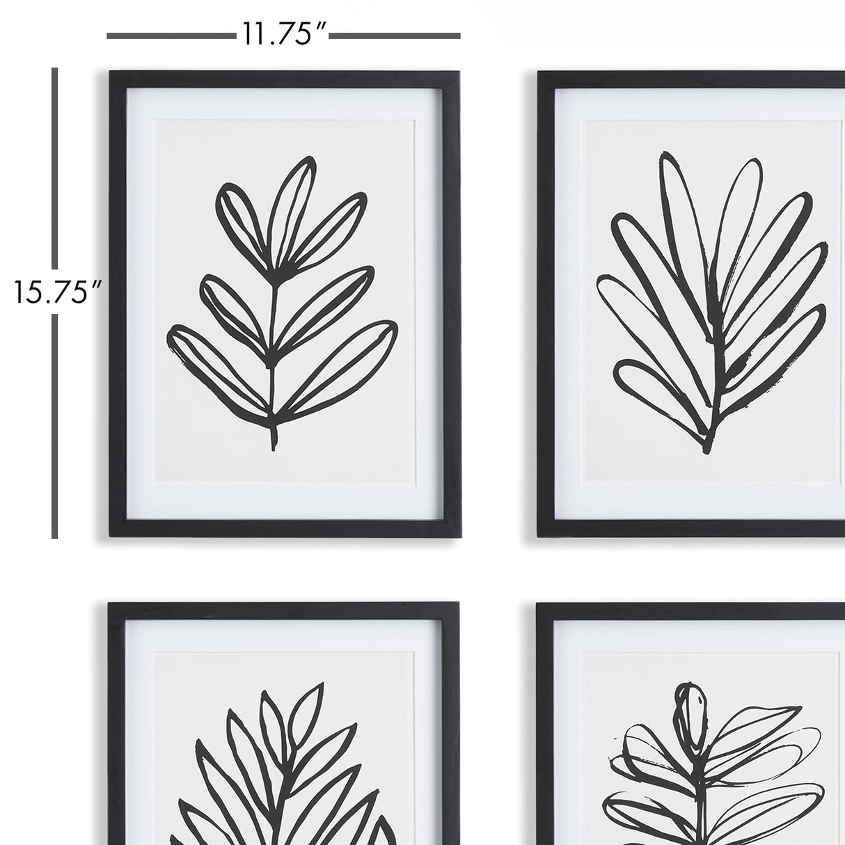 Napa Includes mat SKETCHED LEAF PRINTS, SET OF 4