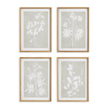 Napa Includes mat FOLIAGE STUDY, SET OF 4
