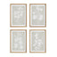 Napa Includes mat FOLIAGE STUDY, SET OF 4