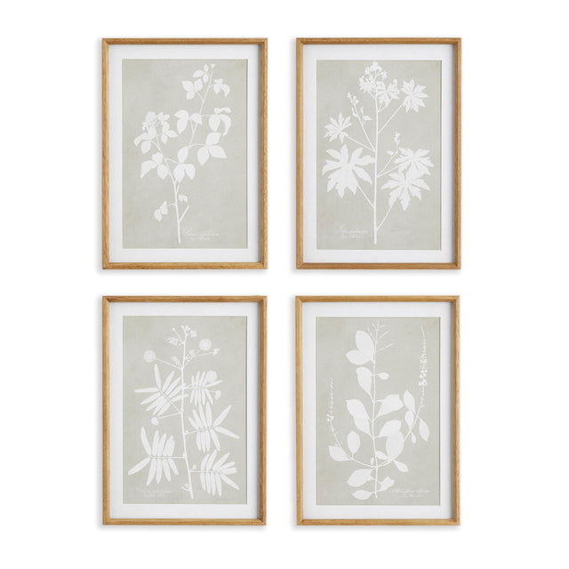 Napa Includes mat FOLIAGE STUDY, SET OF 4
