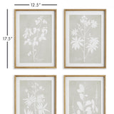 Napa Includes mat FOLIAGE STUDY, SET OF 4