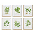 Napa Includes mat TREE LEAF STUDY, SET OF 6