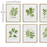 Napa Includes mat TREE LEAF STUDY, SET OF 6