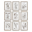Napa  RUSTIC FOLIAGE STUDY, SET OF 9