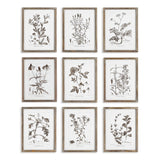 Napa  RUSTIC FOLIAGE STUDY, SET OF 9