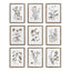 Napa  RUSTIC FOLIAGE STUDY, SET OF 9