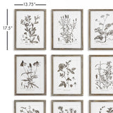 Napa  RUSTIC FOLIAGE STUDY, SET OF 9