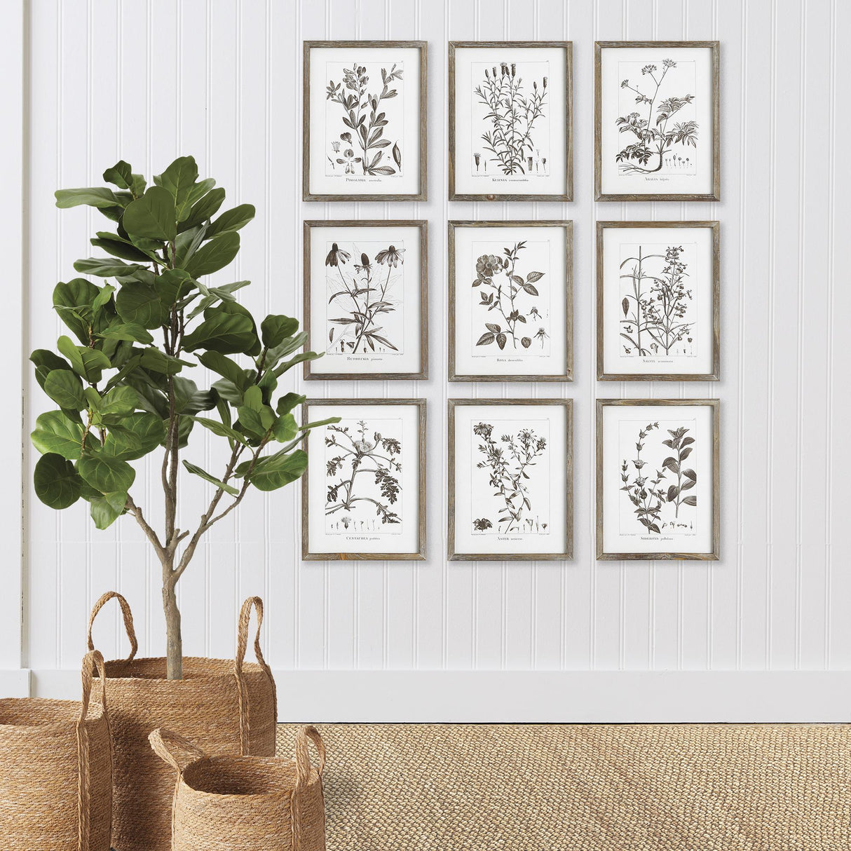 Napa  RUSTIC FOLIAGE STUDY, SET OF 9