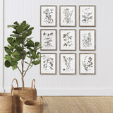 Napa  RUSTIC FOLIAGE STUDY, SET OF 9