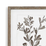 Napa  RUSTIC FOLIAGE STUDY, SET OF 9