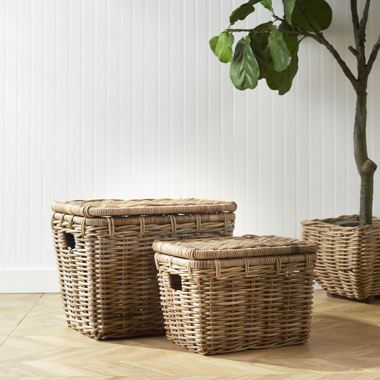 Napa Natural RUTHIE STORAGE TRUNKS, SET OF 2