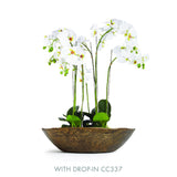 Napa Antique Brass MYRON DECORATIVE BOWL