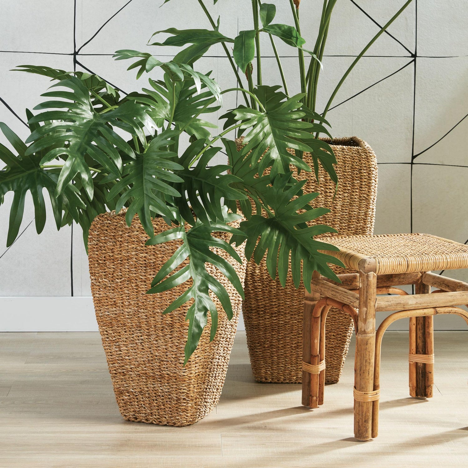 small seagrass plant pot Seagrass Tall Square Planters, Set of 2