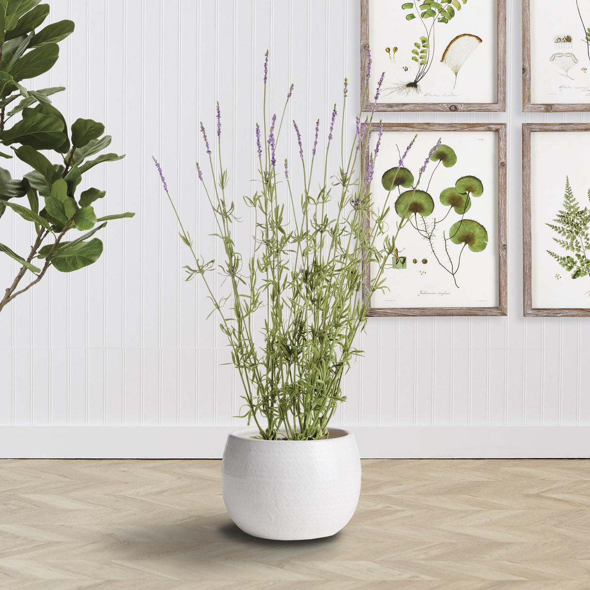 Napa White Kayla Pot Small