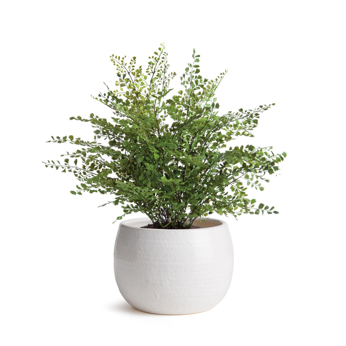 Napa White Kayla Pot Small
