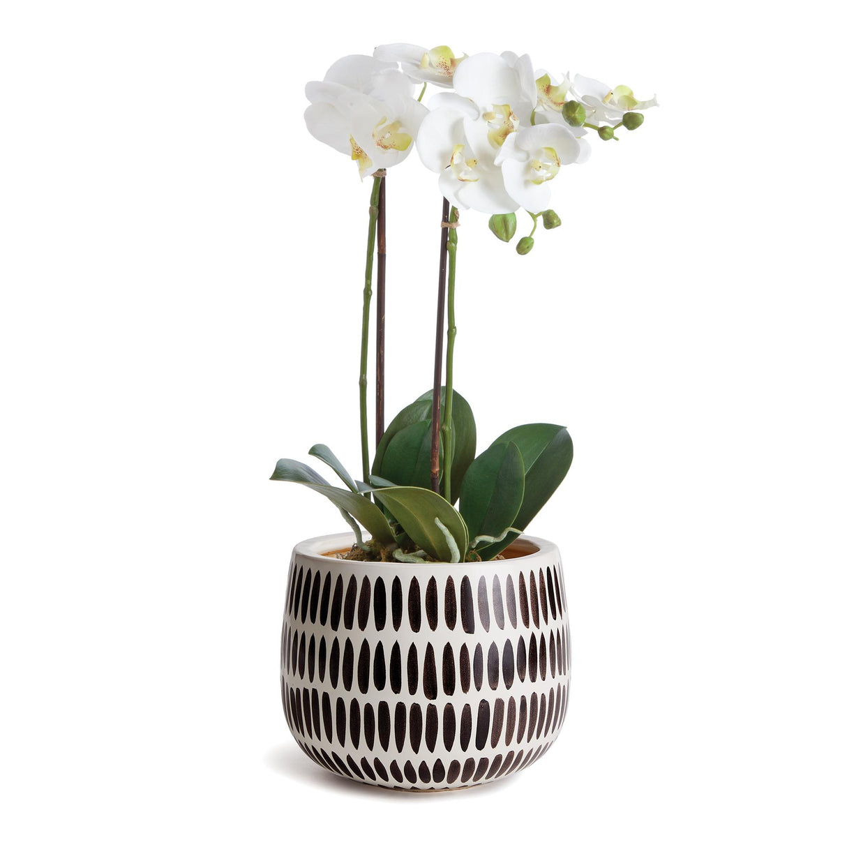 Napa  UMA HAND-PAINTED POT SMALL