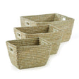 Napa White RIVERGRASS RECTANGULAR BASKETS, SET OF 3