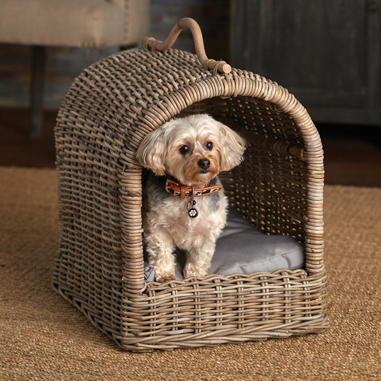 Napa Gray NORMANDY CANOPY PET BED
