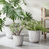 Napa Dove LEILANI POTS, SET OF 3